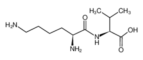 Picture of 2-(2,6-diaminohexanoylamino)-3-methylbutanoic acid