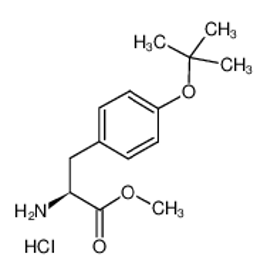 Picture of methyl (2S)-2-amino-3-[4-[(2-methylpropan-2-yl)oxy]phenyl]propanoate,hydrochloride