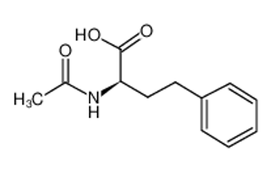 Изображение (2R)-2-acetamido-4-phenylbutanoic acid