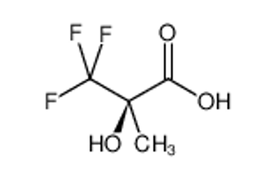 Imagem de (R)-2-Hydroxy-2-(Trifluoromethyl)Propionic Acid