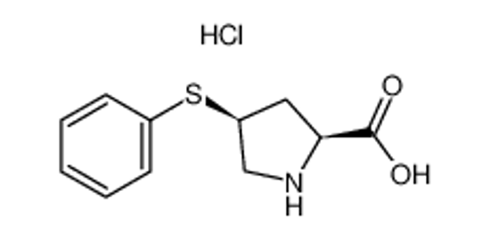 Picture of (4S)-4-(Phenylthio)-L-proline Hydrochloride
