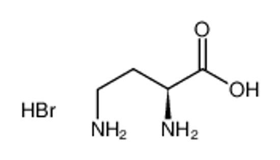 Picture of L-2,4-diaminobutyric acid