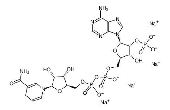 Picture of NADPH, Tetrasodium Salt，β-NADPH TETRASODIUM SALT