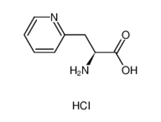 Picture of L-3-Pyridylalanine hydrochloride