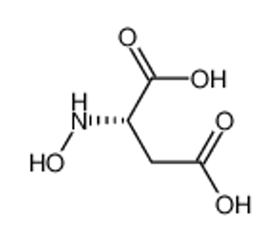Picture of HYDROXYASPARTICACID