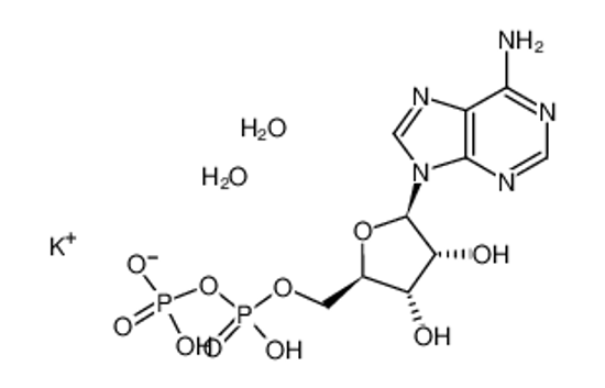 Imagem de Adenosine 5'-diphosphate monopotassium salt dihydrate