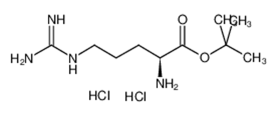 Picture of tert-butyl (2S)-2-amino-5-(diaminomethylideneamino)pentanoate,dihydrochloride