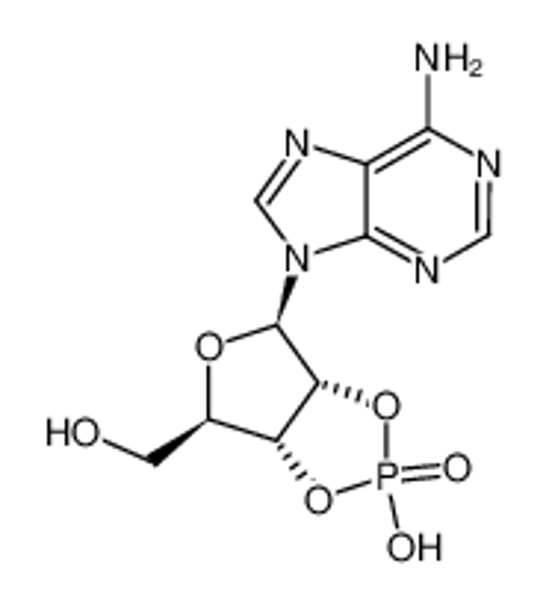 Picture of 2',3'-cyclic AMP