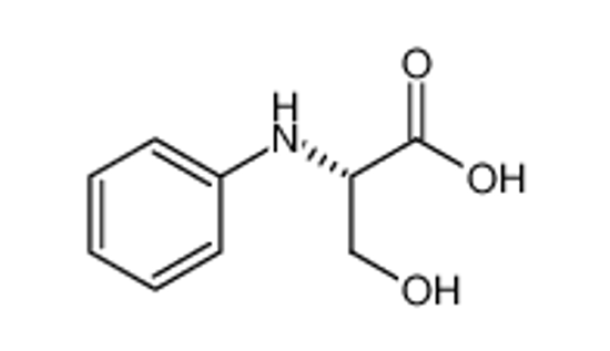 Picture of PHENYLSERINE