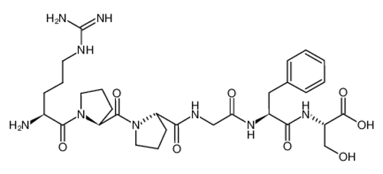 Picture of BRADYKININ (1-6)