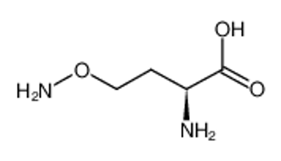 Picture of (2S)-2-amino-4-aminooxybutanoic acid