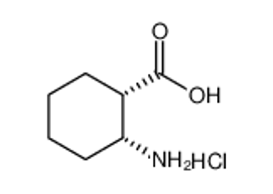 Picture of (1S,2R)-(+)-2-AMINOCYCLOHEXANECARBOXYLIC ACID HYDROCHLORIDE