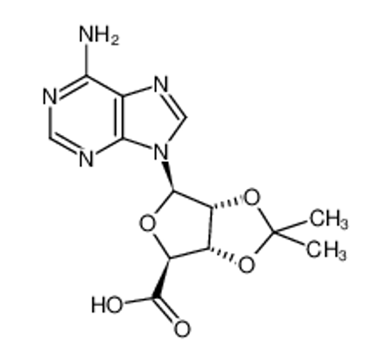 Изображение 2’,3’-Isopropylidene Adenosine-5’-carboxylic Acid