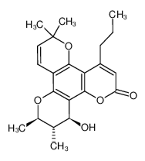 Picture of (+)-calanolide A