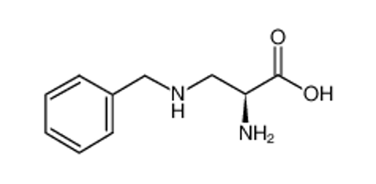 Picture of 2-amino-3-(benzylamino)propanoic acid