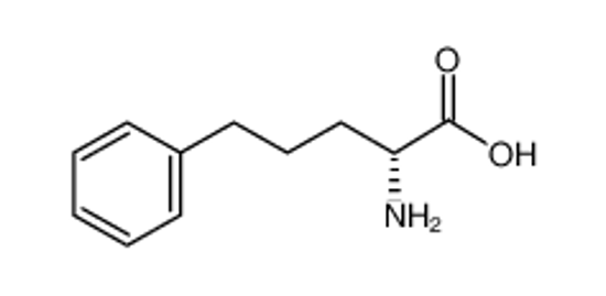 Picture of D-2-AMINO-5-PHENYL-PENTANOIC ACID