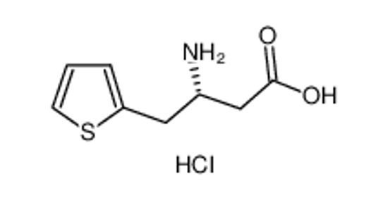 Picture of 3-amino-4-thiophen-2-ylbutanoic acid,hydrochloride