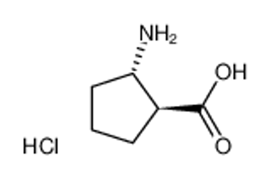 Picture of (1S,2S)-(-)-2-Amino-1-cyclopentanecarboxylic acid hydrochloride