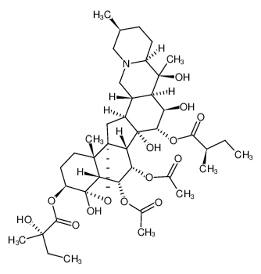 Picture of PROTOVERATRINE A
