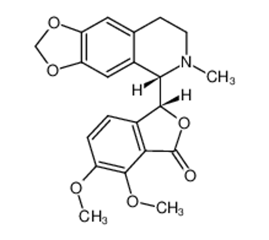 Изображение (-)-β-HYDRASTINE