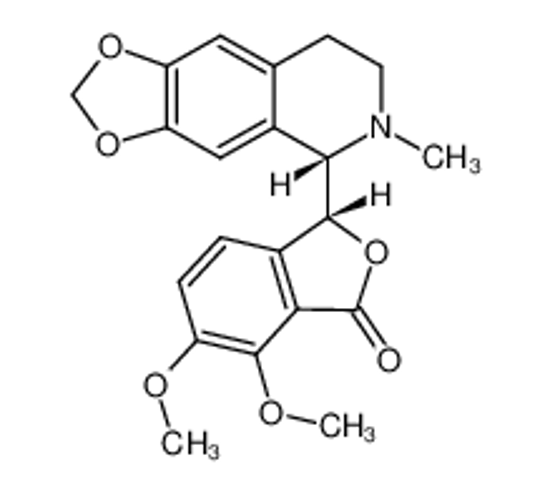 Picture of (-)-β-HYDRASTINE