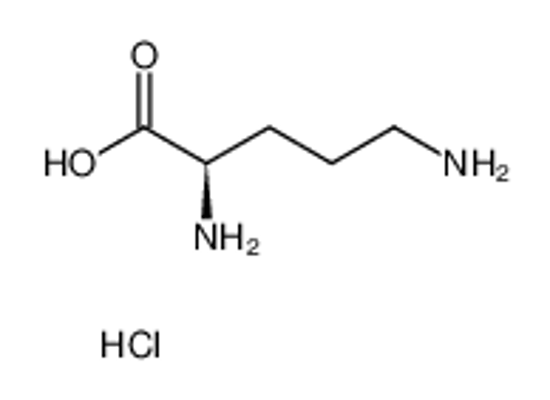 Изображение D-ORNITHINE HYDROCHLORIDE