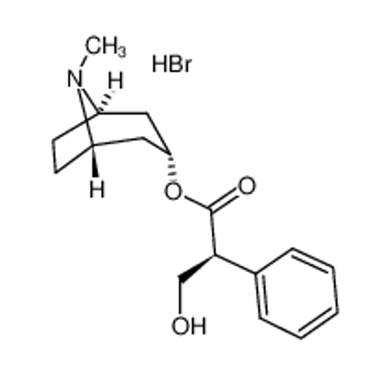 Picture of HYOSCYAMINE HYDROBROMIDE