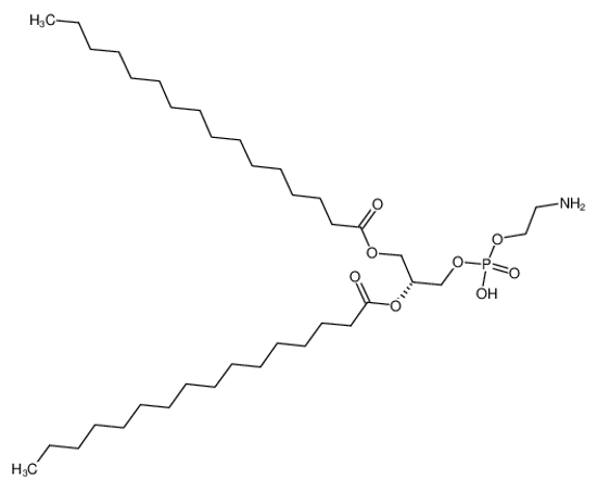Picture of 1,2-dihexadecanoyl-sn-glycero-3-phosphoethanolamine