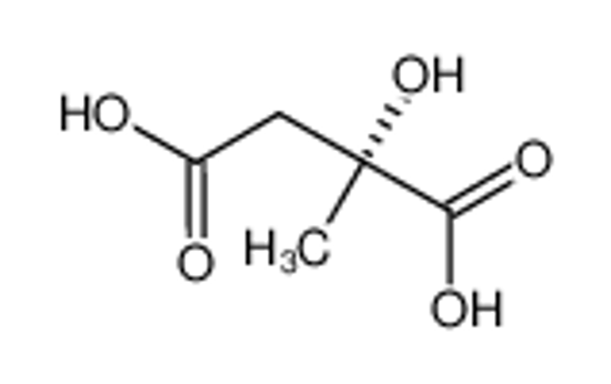 Picture of D-(-)-Citramalic Acid