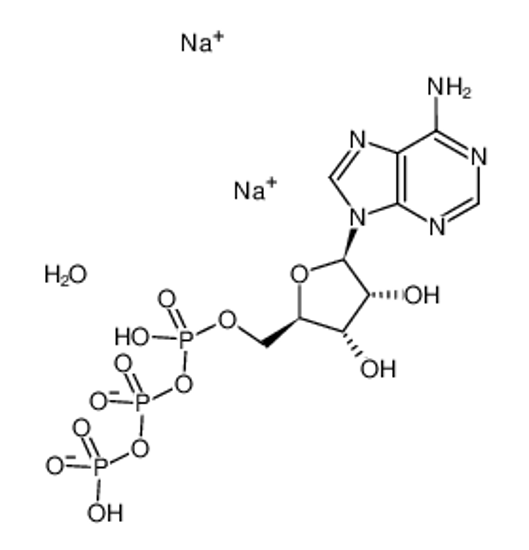 Picture of ADENOSINE 5'-TRIPHOSPHATE DISODIUM SAL&