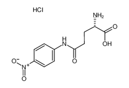 Picture of L-Glutamic acid γ-(p-nitroanilide) hydrochloride