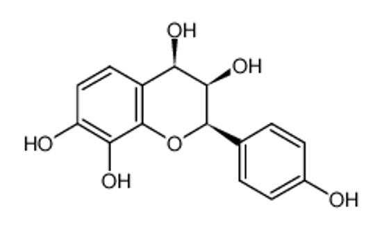 Picture of (-)-TERACACIDIN