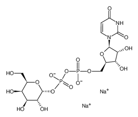 Picture of Uridine 5′-diphosphogalactose disodium salt