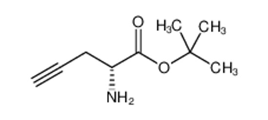 Picture of tert-butyl (2R)-2-aminopent-4-ynoate