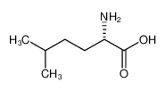 Picture of 5-Methyl-L-norleucine