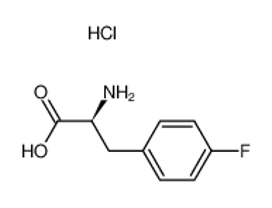 Picture of L-4-Fluorophenylalanine hydrochloride
