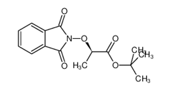 Picture of Propanoic acid, 2-[(1,3-dihydro-1,3-dioxo-2H-isoindol-2-yl)oxy]-, 1,1-dimethylethyl ester, (2R)-