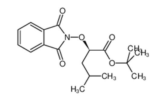 Picture of Pentanoic acid, 2-[(1,3-dihydro-1,3-dioxo-2H-isoindol-2-yl)oxy]-4-methyl-, 1,1-dimethylethyl ester, (2R)-