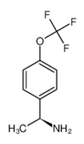 Picture of (1S)-1-[4-(trifluoromethoxy)phenyl]ethanamine