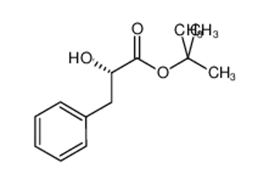 Picture of Benzenepropanoic acid,a-hydroxy-, 1,1-dimethylethyl ester,(S)-
