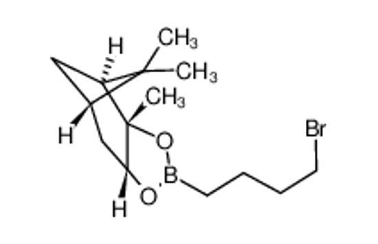 Picture of (+)-pinanediol-4-bromo-butane-1-boronate