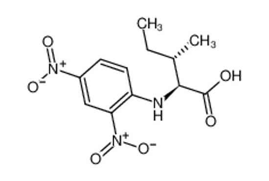 Picture of DNP-L-ISOLEUCINE