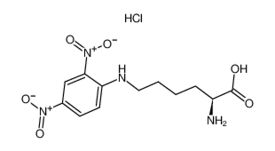 Picture of <i>N</i><sup>ε</sup>-(2,4-Dinitrophenyl)-<small>L</small>-lysine Hydrochloride
