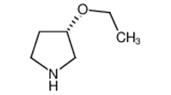 Picture of (3S)-3-ethoxypyrrolidine