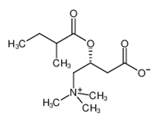Picture of 2-methylbutyrylcarnitine