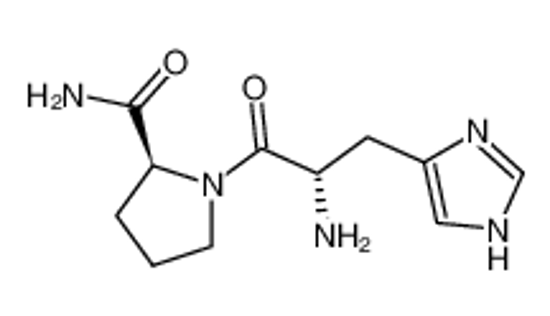 Изображение (2S)-1-[(2S)-2-amino-3-(1H-imidazol-5-yl)propanoyl]pyrrolidine-2-carboxamide