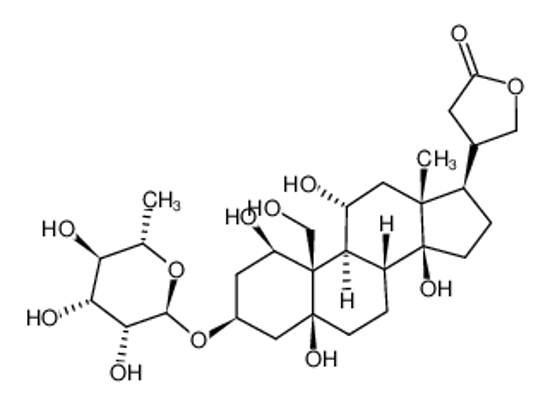 Picture of DIHYDROOUABAIN