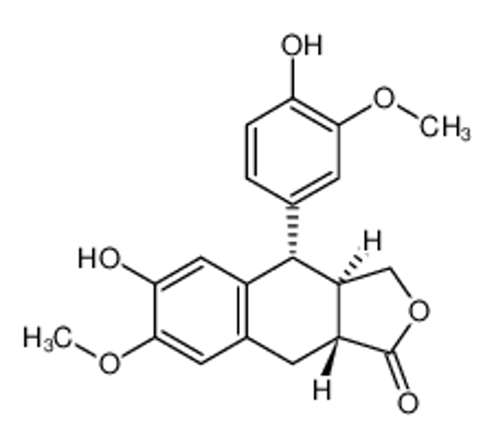 Picture of (-)-α-CONIDENDRIN
