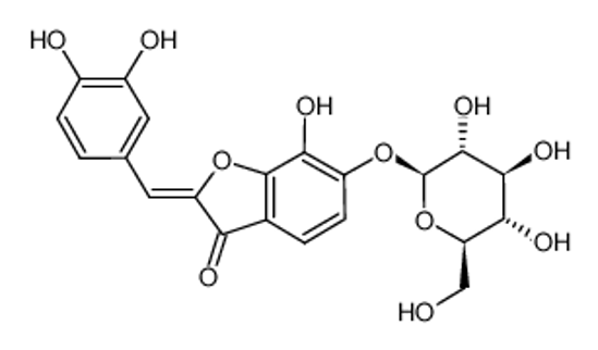 Picture of (2Z)-2-[(3,4-dihydroxyphenyl)methylidene]-7-hydroxy-6-[(2S,3R,4S,5S,6R)-3,4,5-trihydroxy-6-(hydroxymethyl)oxan-2-yl]oxy-1-benzofuran-3-one