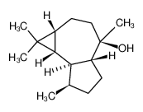 Picture of (-)-GLOBULOL